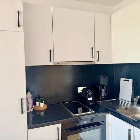 Stylish With Balcony Near Vienna *